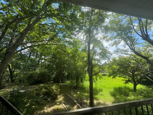 広大な敷地の中にございます|